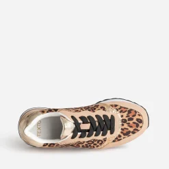 Tennis TEXTO marron, motif léopard et doré