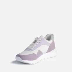 Tennis TEXTO parme, blanche, verte